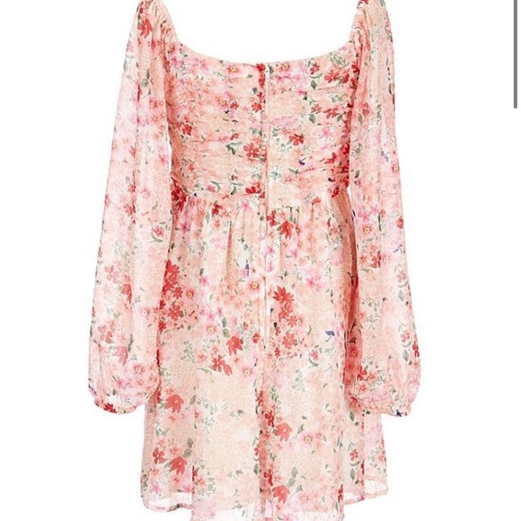 Poppies and Roses Long-Sleeve Ruched Bodice Floral Printed Knit Shift Dress - Picture 3 of 15